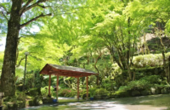 修善寺溫泉宙SORA渡月莊金龍旅館