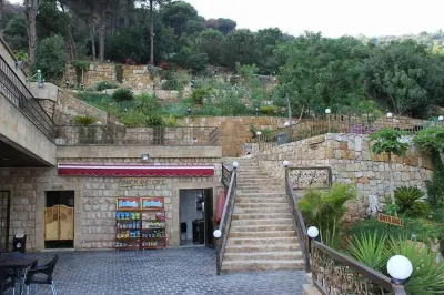 Pinewood Hotel Hotels in Khenchara