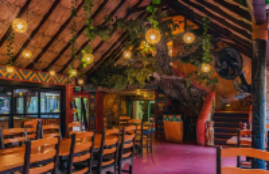 Amazonia - the Jungle Experience Resort