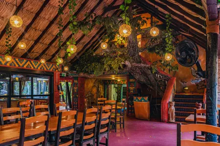 Amazonia - the Jungle Experience Resort