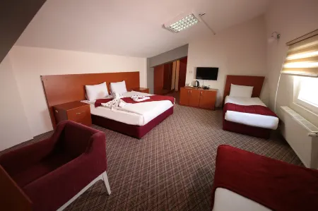 Erciyes Hill Hotel Отели в г. Hisarcik Erciyes Mahallesi