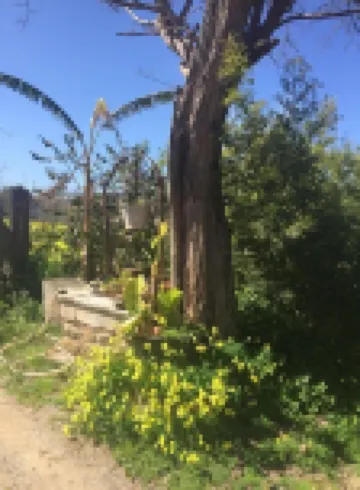 Villa Nicetta Hotels in 