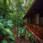 Jaguarundi Jungle Lodge - Monteverde Hotels in Santa Elena