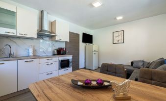 Elegant Apartment Hrastnica 2