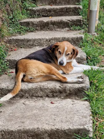 Casa Tien Отели рядом с достопримечательностью «Mirador de Salento»