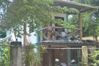 Shenamae Pension Hotels in San Vicente