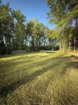 Stunning 4 Bed House Perfect for Nature Lovers