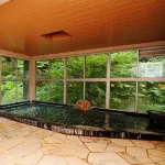 Tsukubasan Onsen Edoya Hotel a Sakuragawa