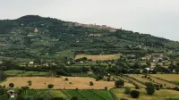 B&B Il Mandorlo
