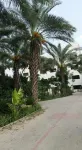 Palm View Hotel Hotels in WAPDA City