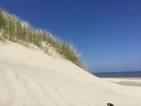 Exclusive  FeWo with Sea View, Roof Terrace and Gas Fireplace.