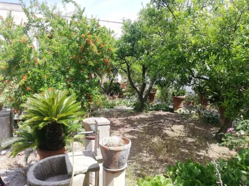 HOLIDAY HOUSE WITH LARGE GARDEN CENTRAL SWEATER AREA (LE) Hotels in Maglie