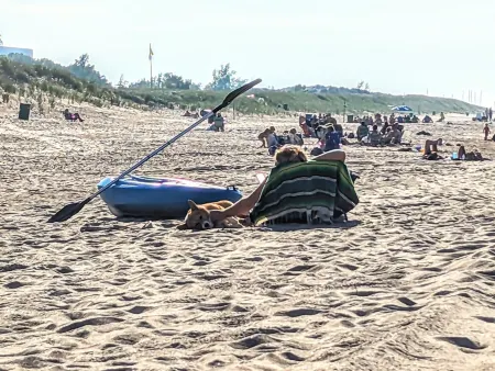 A cozy little house along Trail Creek awaits you.  Relax. Unwind.  Enjoy.