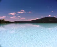 The Hall of Villa Migliorati