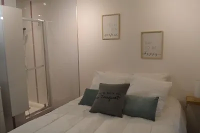 Bel Apt T2 nine of charm 50 meters sea and the center - Wifi - Standing