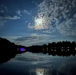 Lakefront, cozy cottage, fish, swim in your backyard, bonfires, bike, Nordic Mtn