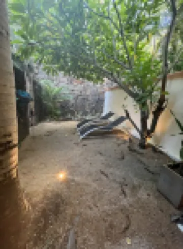 Villa de Charme Tropicale Située à 500 m de la Plage de Pereybère Отели в г. 