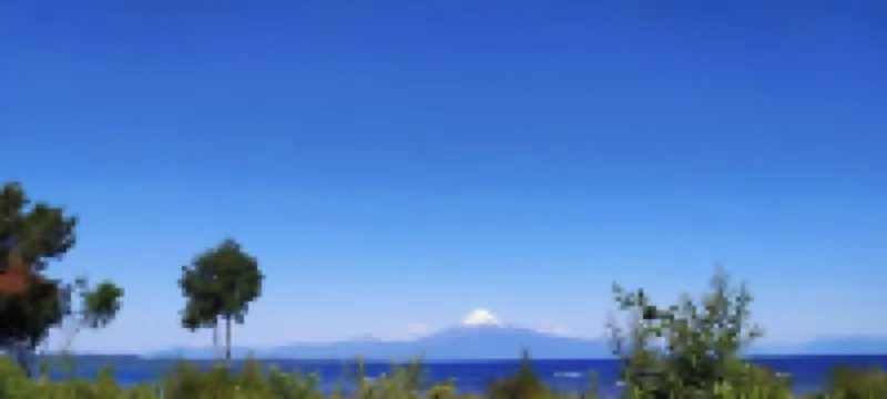 La Pradera Puerto Montt Cabin