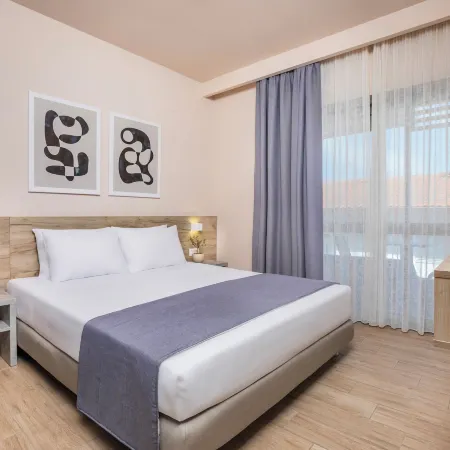 Hotel Vozina