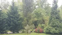 Beautiful 2BR Walkout Fenced & Gated Villa, Onsite parking, Pet friendly-2+acres