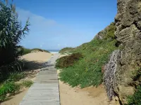 Charming and modern apartment with private garden near the beach of São Julião