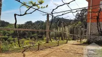 Quinta da Vinagra - house couple