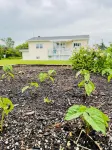 Cozy cottage w/sunset views + quick walk to a private beach (dog friendly