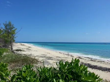 Luxury Oceanfront Home, Gorgeous View