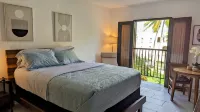 Palmira Studio 1Bed/1Bath Hotels in Palmas del Mar