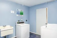 Stylish 2 BR walkout Apartment in DT