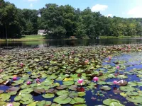 Beautiful lake house getaway Hotel a Shawangunk
