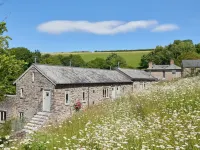 Burrator Cottage - 4-Star