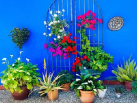 Hostal El Faro Hotels in Chipiona