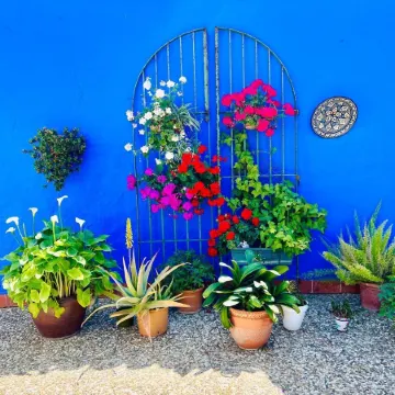 Hostal El Faro