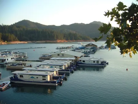 Bridge Bay Lodge at Shasta Lake