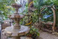 El Sano Banano Beachside Hotel Hotels in Montezuma