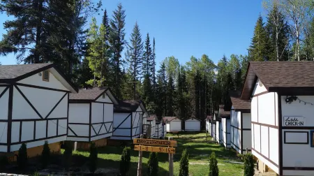 Mountain View Cabins