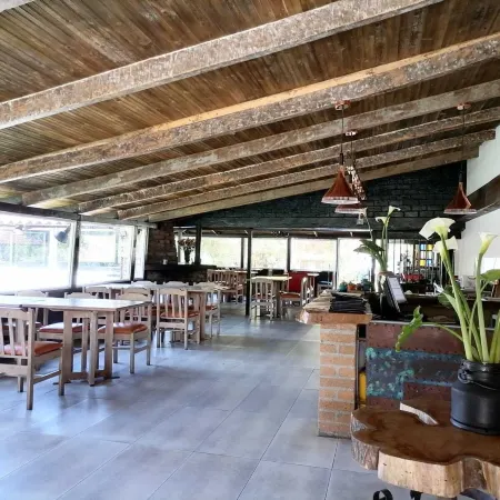Palmas de Cocora