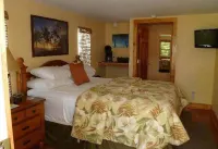 Harriet's House - Homestays