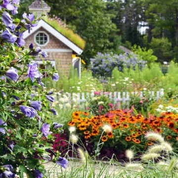 Brewster House Bed & Breakfast