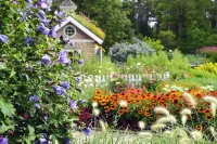 Brewster House Bed & Breakfast Hotels in Freeport