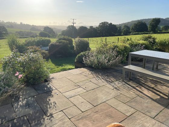 舒適的牛棚