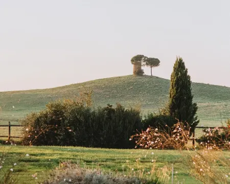 เรอเลซานเตเลนา โรงแรมในBibbona