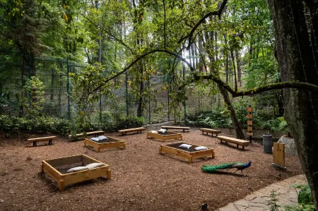 Casa del Roble Avandaro Отели рядом с достопримечательностью «El Ángel»