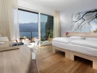 Eco Hotel Ariston Hotels in Malcesine