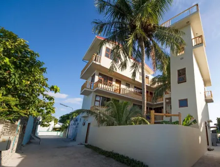 Tropic Tree Maldives