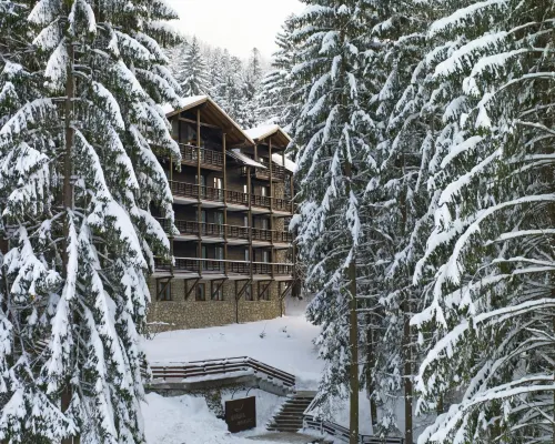 Ana Hotels Bradul Poiana Brasov Hotels near Ruia