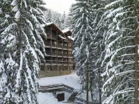 Ana Hotels Bradul Poiana Brasov Hotel a 