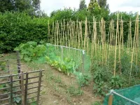 Ortali Country House - Villaer