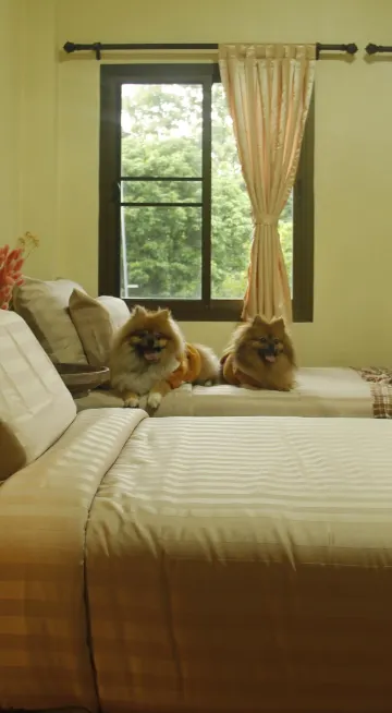 วิลลาแบบสองห้องนอน